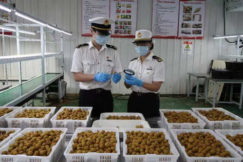 佛山海关深化服务家用电器企业长效机制 助力产业高质量发展