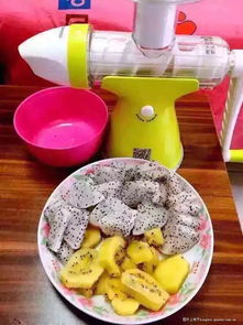 果语榨汁机厂家直销 享受正品批发价格，轻松制作健康蔬菜汁